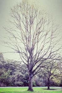 Map showing studio location